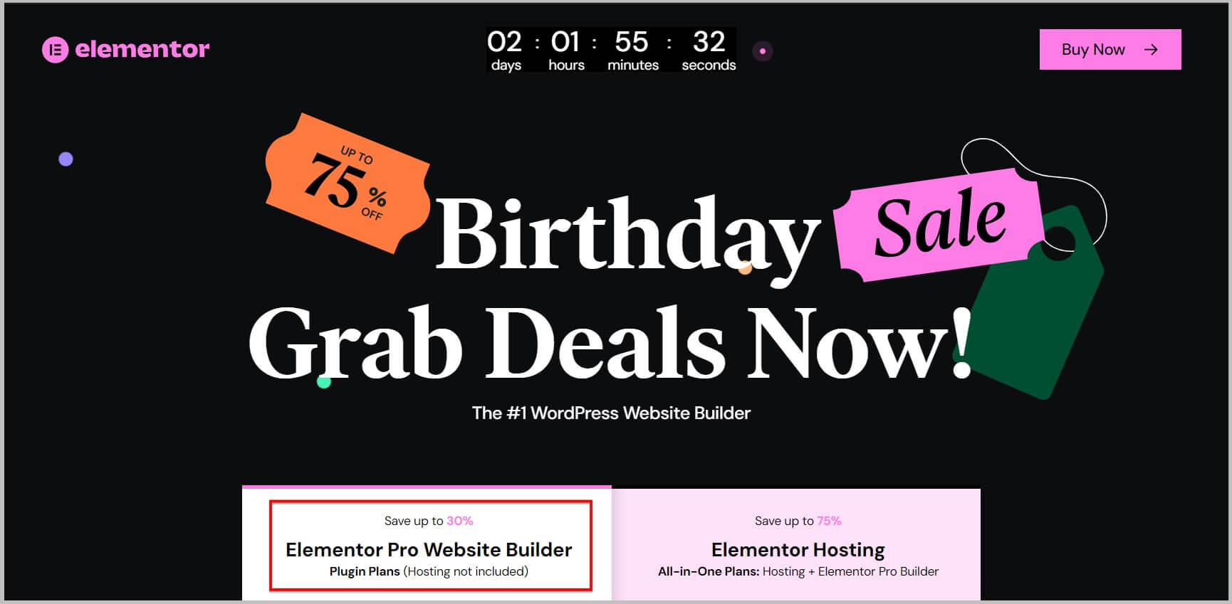 Select Elementor Pro Website builder on Birthday landing page